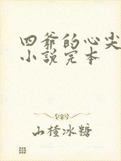 四爷的心尖宠妃小说完本