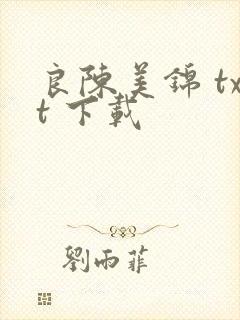 良陈美锦 txt 下载