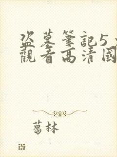 盗墓笔记5免费观看高清国语版封面