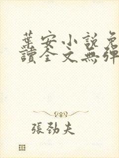 叶安小说免费阅读全文无弹窗