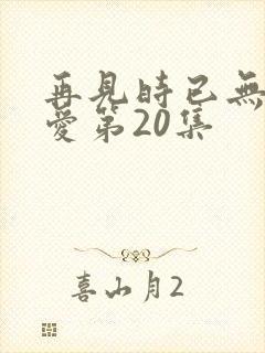 再见时已无恨无爱第20集封面