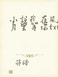 小说我在风花雪月里等你txt下载封面