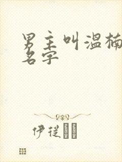 男主叫温楠短剧名字