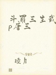 斗罗三生武魂cp唐三封面