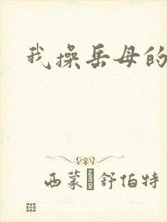 我操岳母的小说