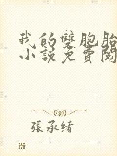 我的双胞胎老婆小说免费阅读