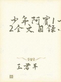 少年阿宾1～72全文目录小说