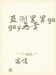 亚洲男男gaygay无套