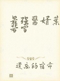 最强医婿叶凡唐若雪