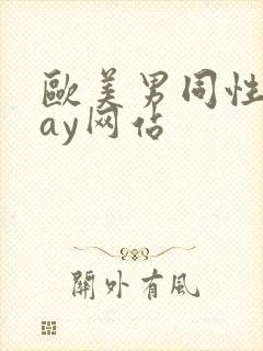 欧美男同性恋gay网站