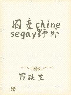 国产chinesegay野外