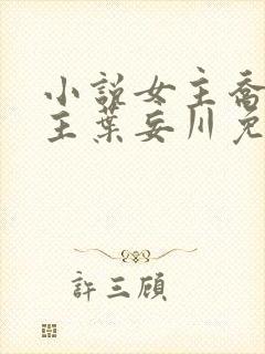 小说女主乔念男主叶妄川免费阅读封面