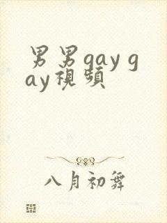 男男gay gay视频封面