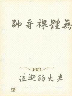 帅哥裸体无遮挡