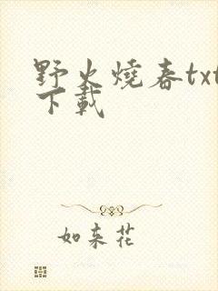 野火烧春txt下载