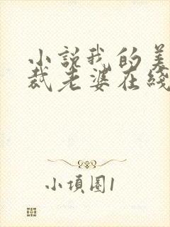 小说我的美女总裁老婆在线阅读