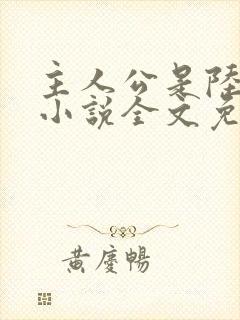 主人公是陆鸣的小说全文免费阅读封面