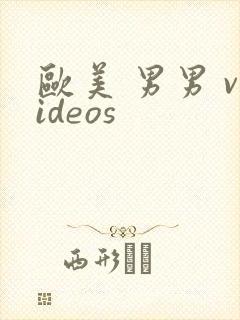 欧美 男男 videos