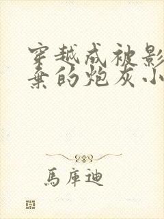 穿越成被影帝抛弃的炮灰小说免费