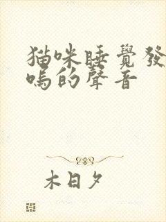 猫咪睡觉发出呜呜的声音封面