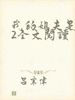 我的姐夫是太子2全文阅读