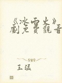《冰雨火》电视剧免费观看完整版