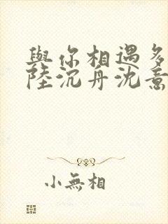 与你相遇多欢喜陆沉舟沈意欢全文小说