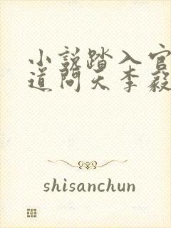 小说踏入官场医道问天李毅在线阅读封面
