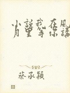 小说我在风花雪月里等你讲的什么