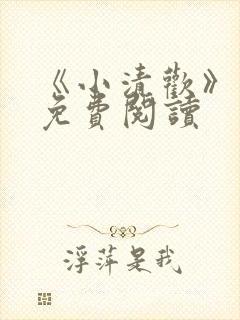 《小清欢》番外免费阅读