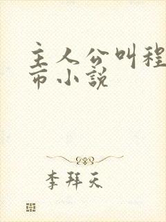 主人公叫程浩都市小说