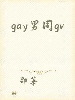 gay男同gv封面