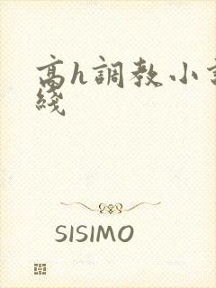 高h调教小说在线封面