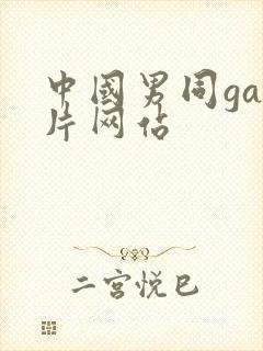 中国男同gay片网站