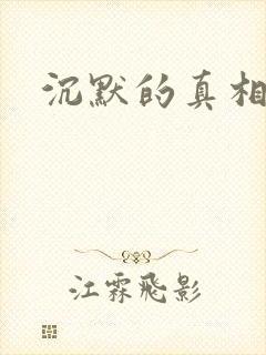 沉默的真相网盘