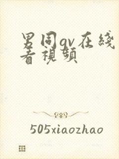 男同gv在线观看视频封面