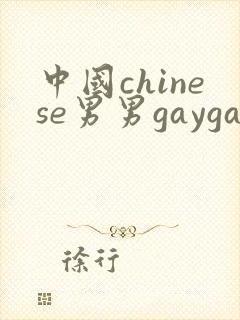 中国chinese男男gaygayvideo封面