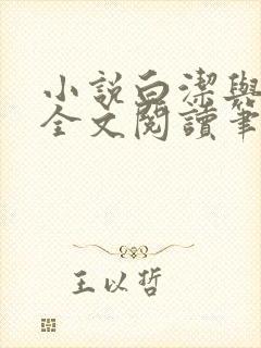 小说白洁与高义全文阅读笔趣阁封面