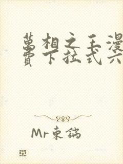 万相之王漫画免费下拉式六漫画80封面