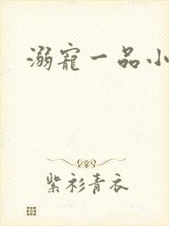 溺宠一品小狂妻