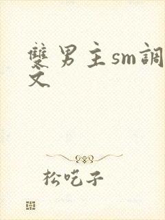 双男主sm调教文
