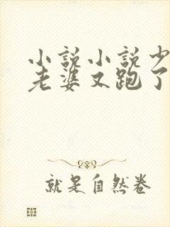 小说小说少帅你老婆又跑了