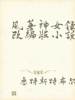 风华神女录同人改编版小说封面