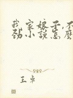 我家娘子,不对劲小说怎么样