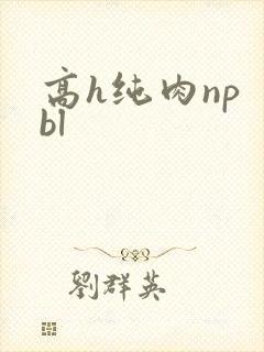 高h纯肉np bl