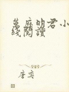 万历明君小说在线阅读