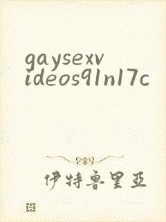 gaysexvideos91n17c