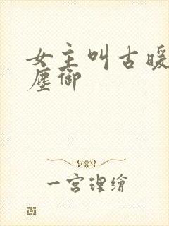 女主叫古暖暖江尘御封面