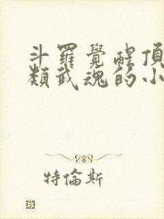 斗罗觉醒顶级剑类武魂的小说封面