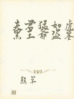 夫君猛如虎:腹黑王爷盗墓妃